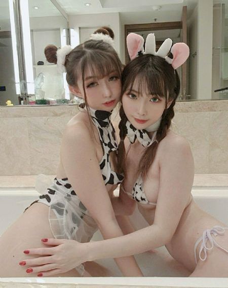 啄木鸟在线
