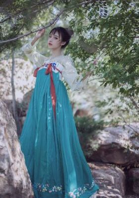 锦衣卫甄子丹