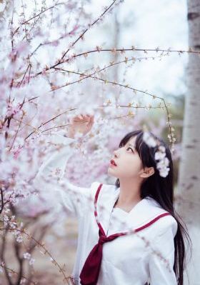 他是谁电视剧免费观看完整版